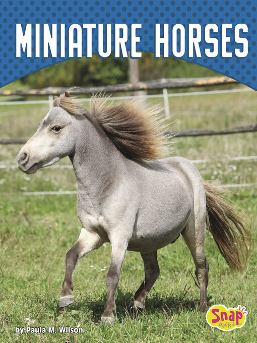 Title details for Miniature Horses by Paula M. Wilson - Available